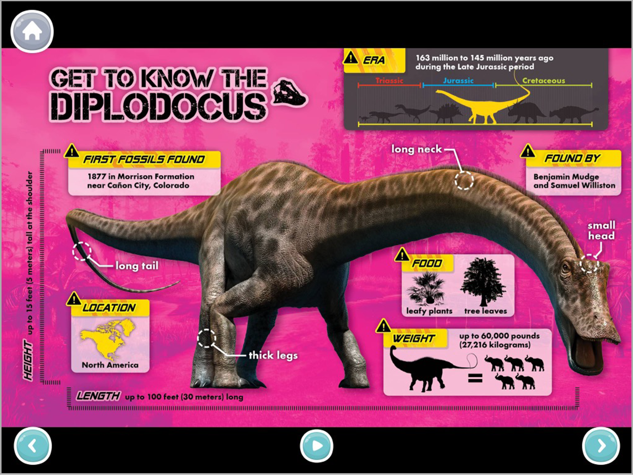 Diplodocus.png