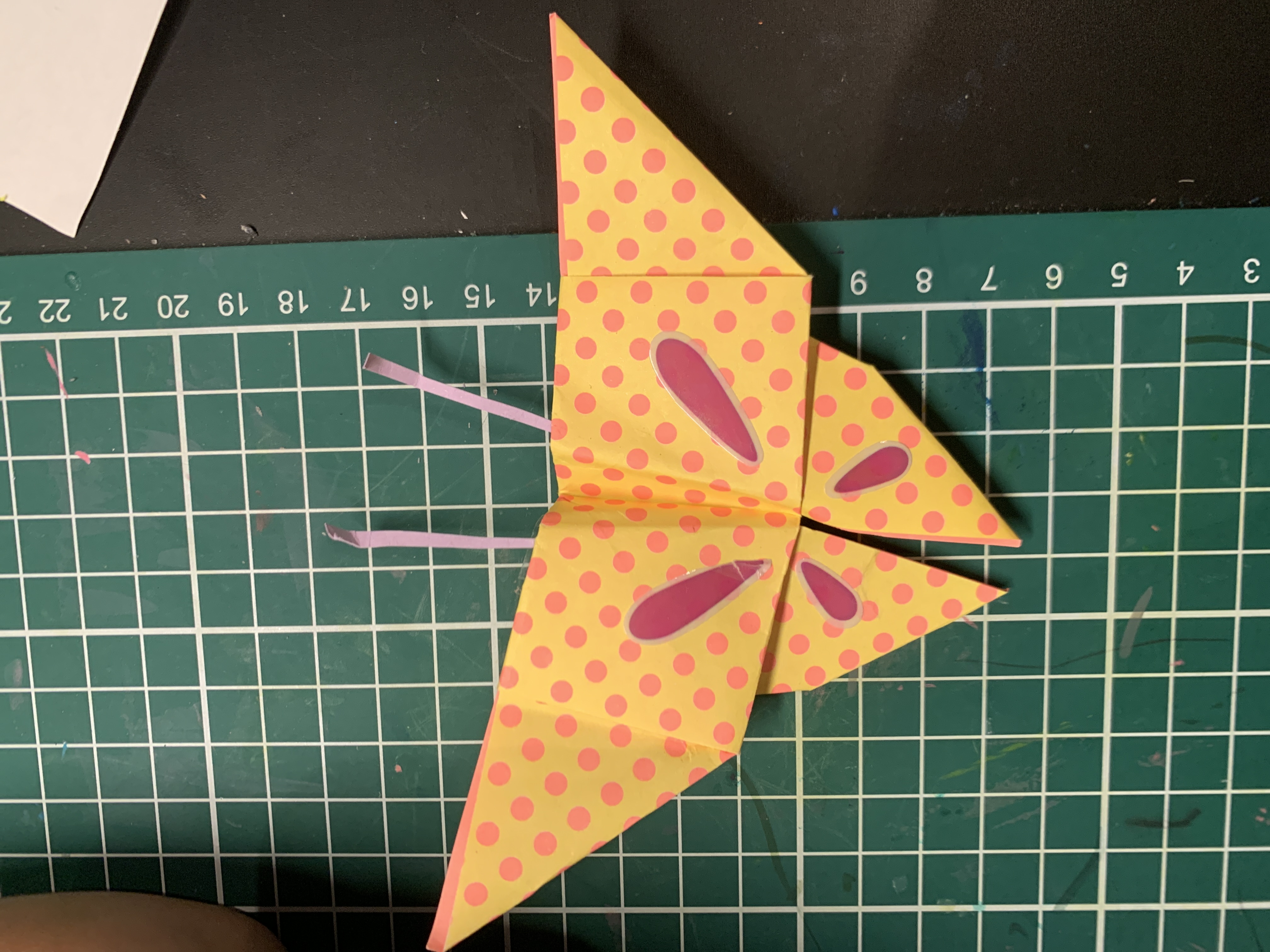 image - 小圆要变小蛮腰.jpg