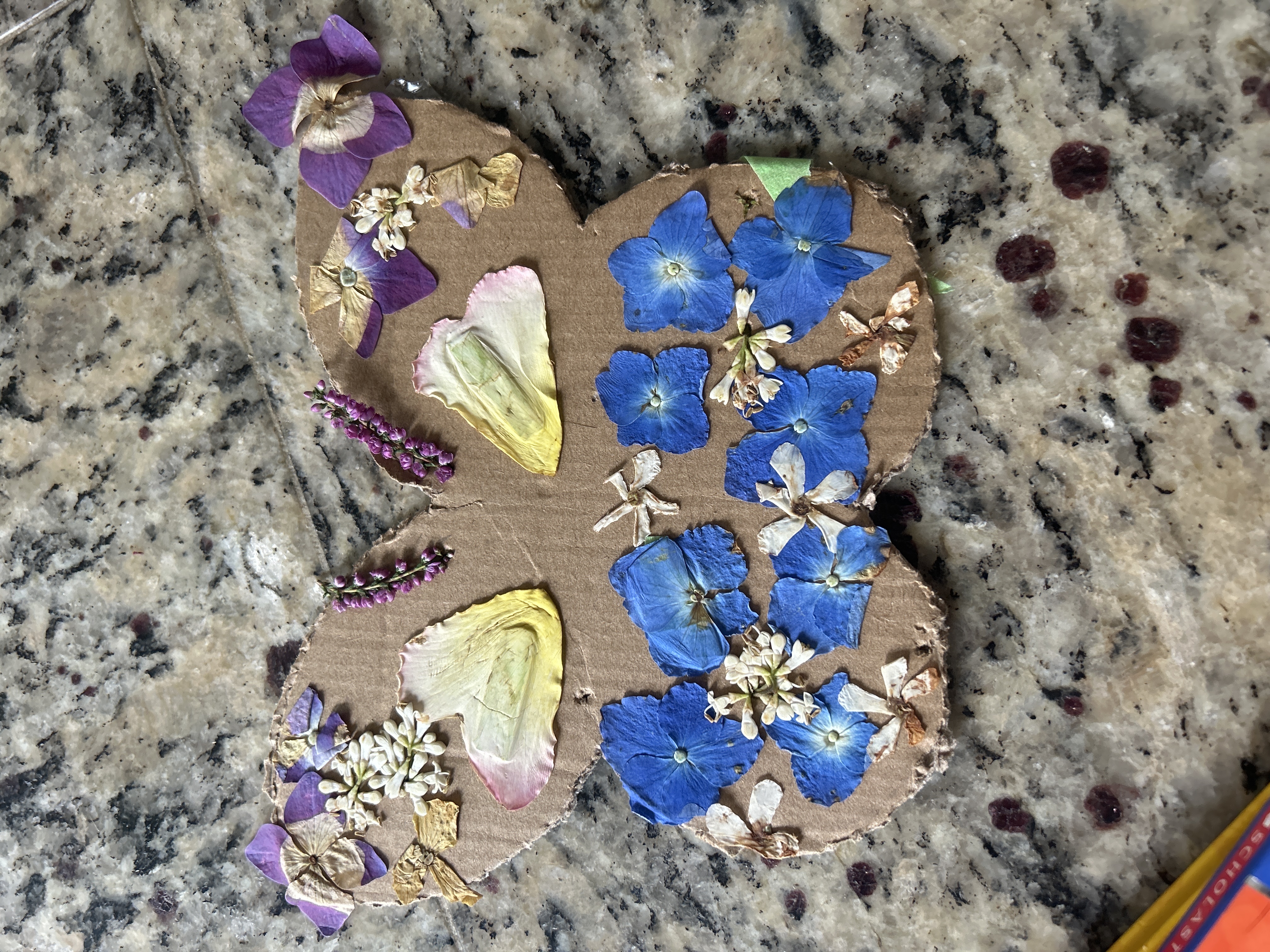 image - ruchi patel.jpg