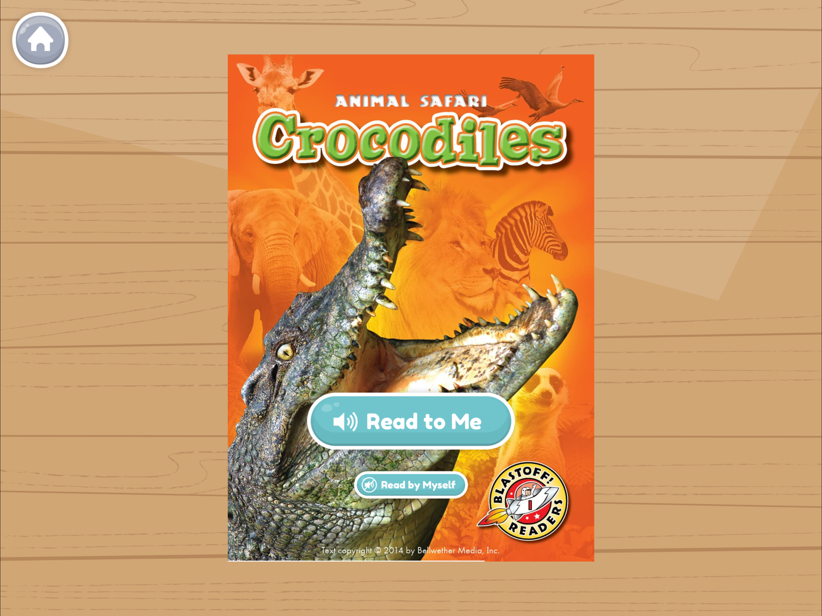 Crocodiles.PNG