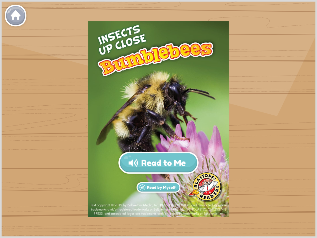 Bumblebees_Book.png