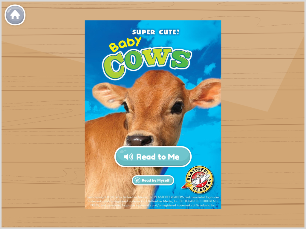Baby_Cows.png