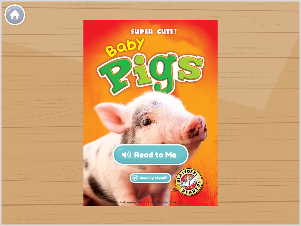 Baby_Pigs.png